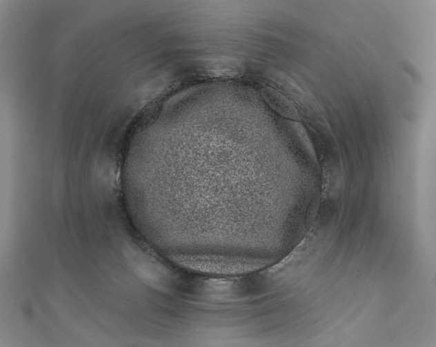 X0000110940176200907101254