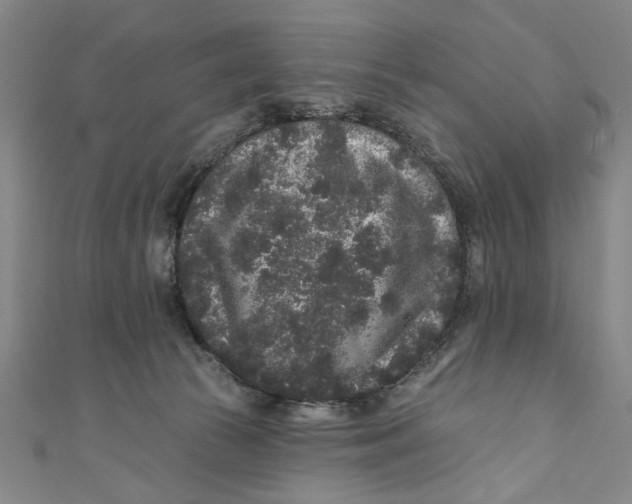 X0000110940177200907101254
