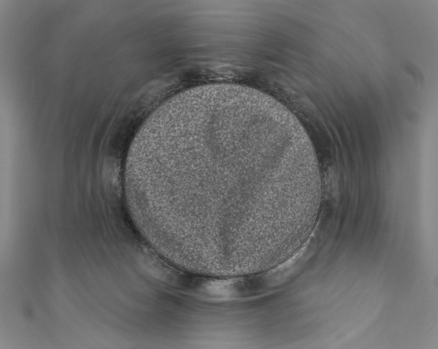 X0000110940178200907101254