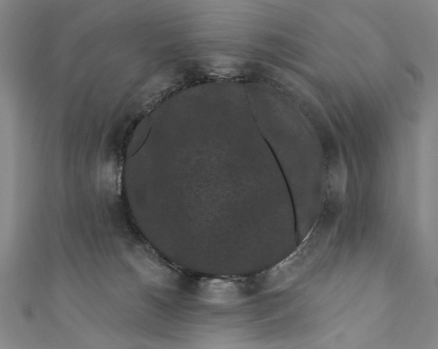 X0000110940180200907101254