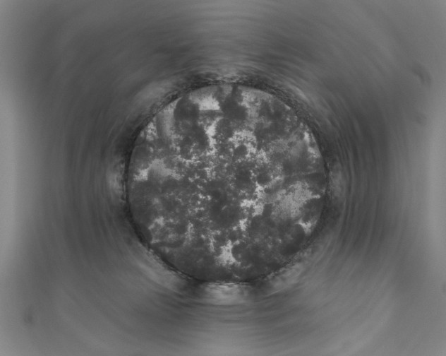 X0000110940181200907101254