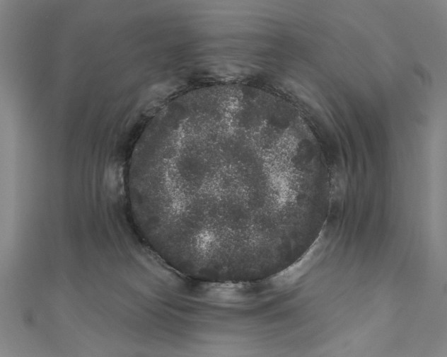 X0000110940182200907101254