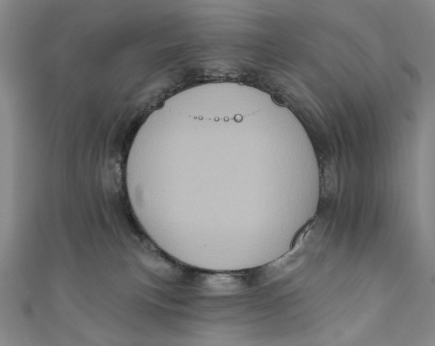 X0000110940183200907101254