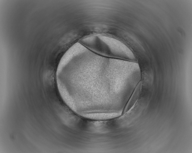 X0000110940184200907101254