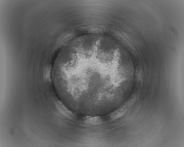X0000110940185200907101254
