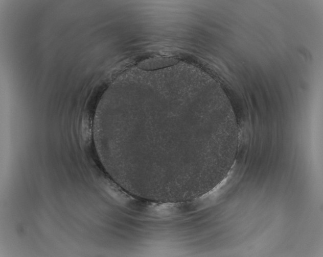 X0000110940186200907101254