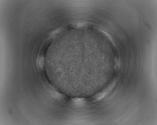 X0000110940189200907101254