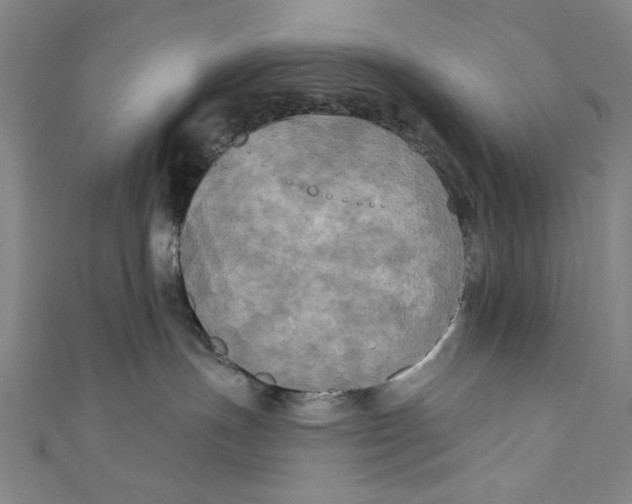 X0000110940191200907101254