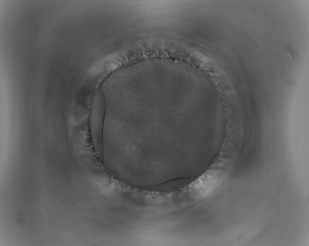 X0000110940192200907101254