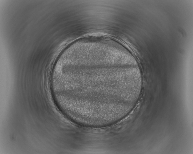 X0000110940193200907101253