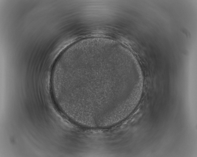 X0000110940194200907101253