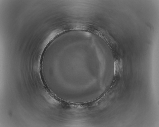 X0000110940195200907101253