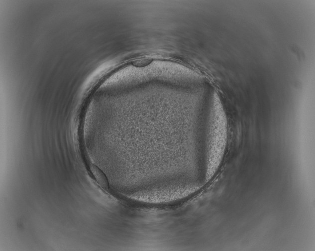 X0000110940197200907101253
