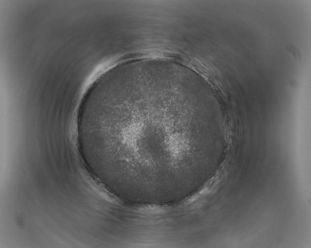 X0000110940198200907101253
