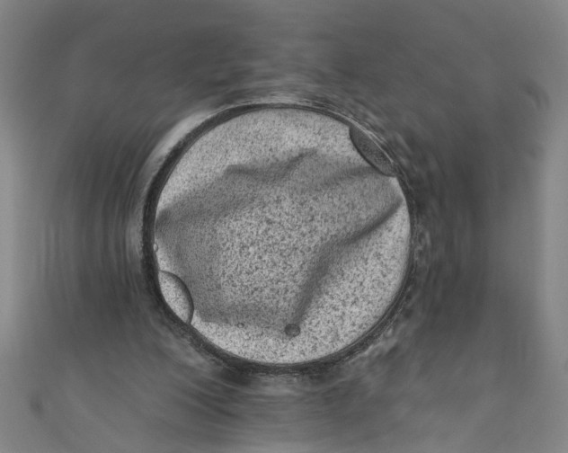 X0000110940200200907101253