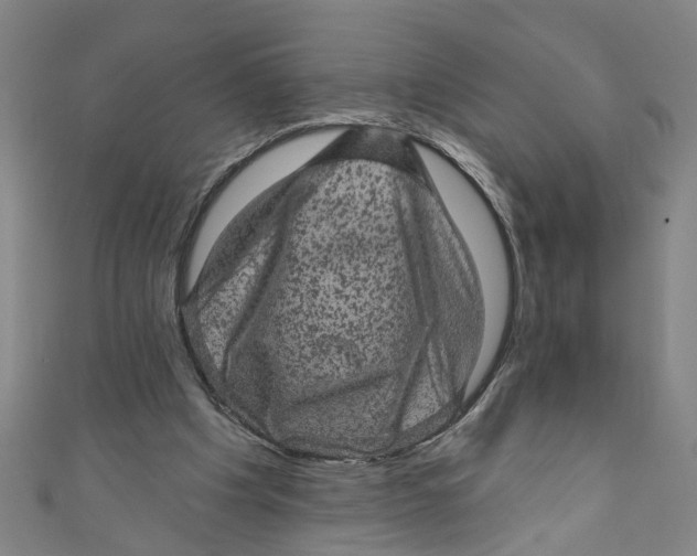 X0000110940201200907101253