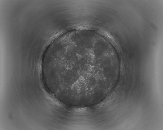 X0000110940202200907101253