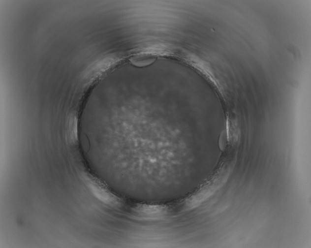 X0000110940205200907101253