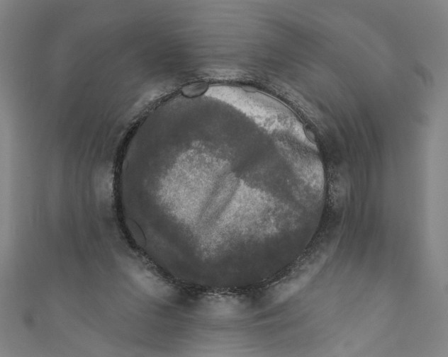 X0000110940207200907101253