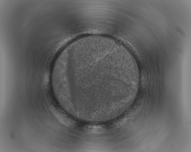 X0000110940208200907101253