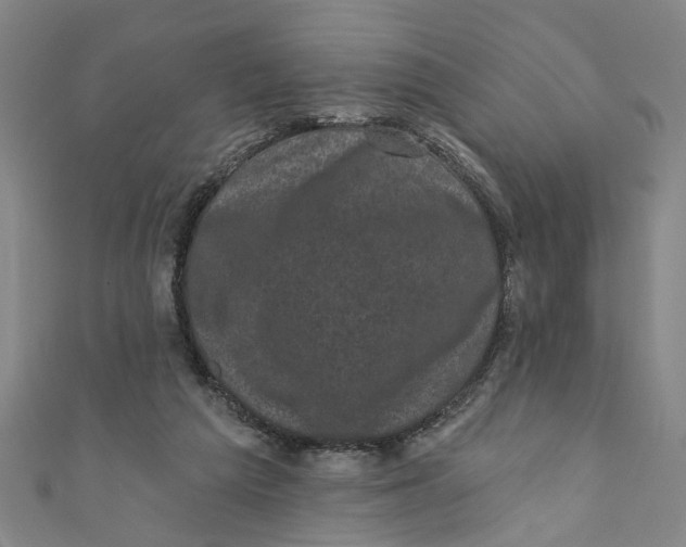 X0000110940209200907101253