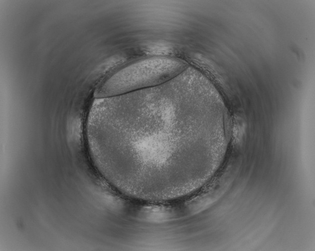 X0000110940211200907101253