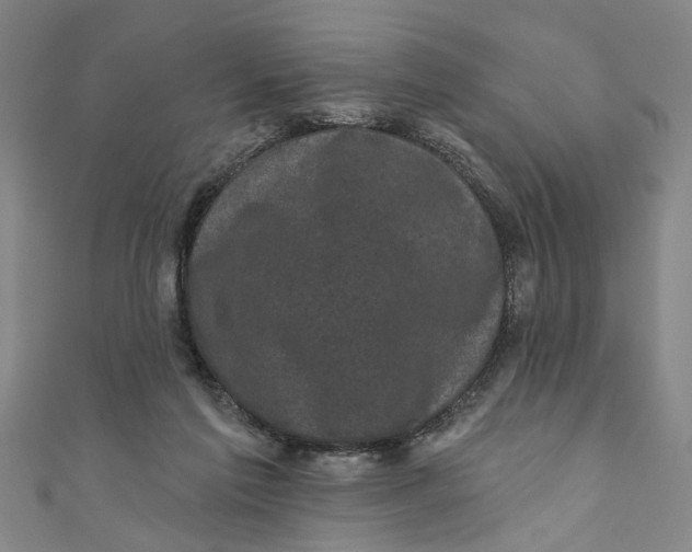 X0000110940213200907101253