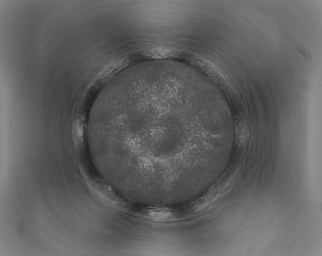 X0000110940214200907101253