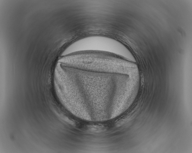 X0000110940215200907101253