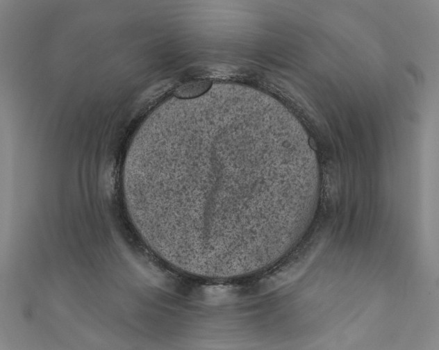 X0000110940216200907101253
