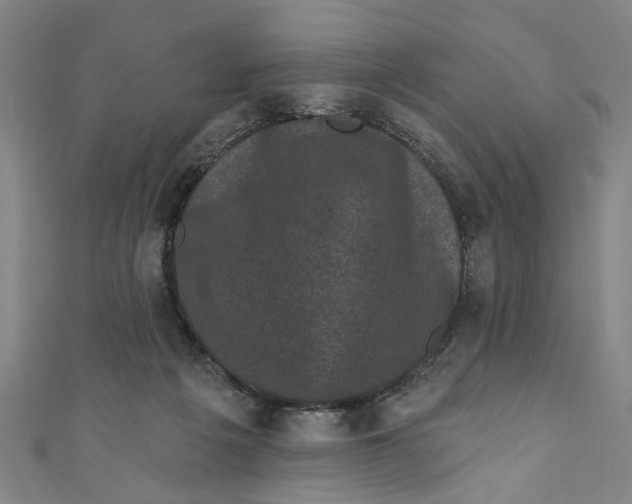 X0000110940217200907101253