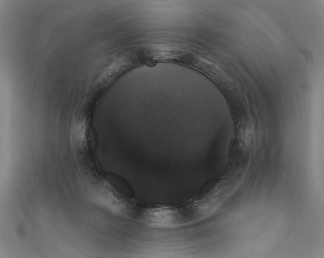 X0000110940219200907101253