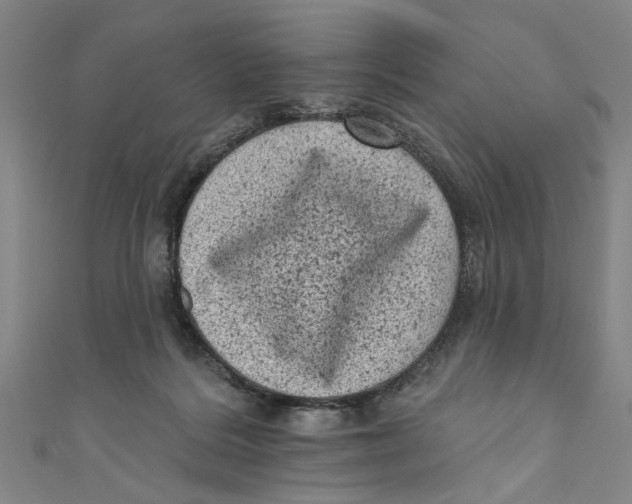 X0000110940220200907101253