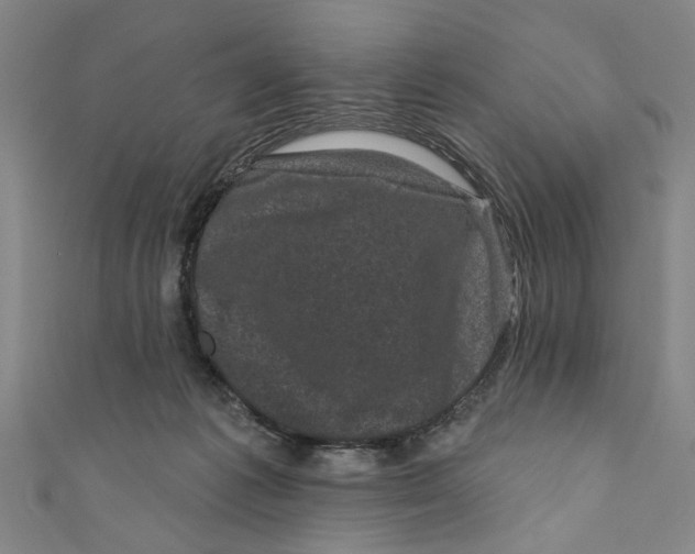 X0000110940221200907101253