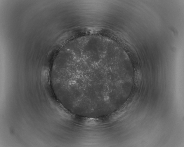 X0000110940222200907101253