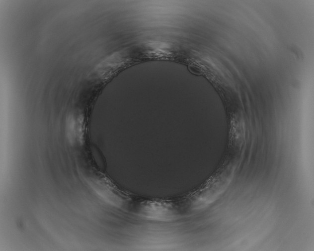 X0000110940223200907101253