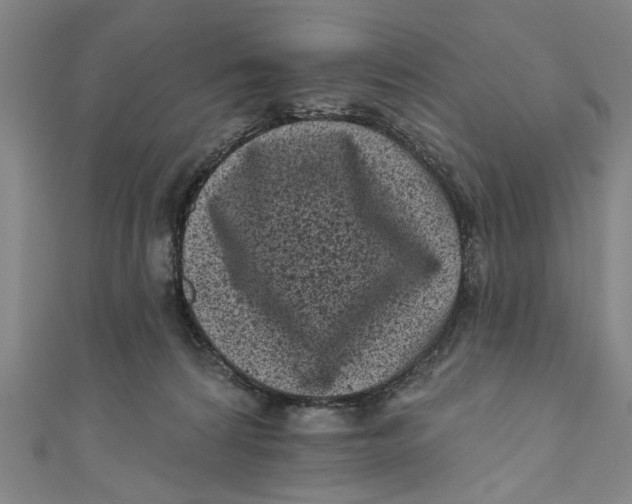 X0000110940224200907101253