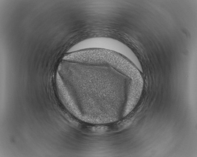 X0000110940225200907101253