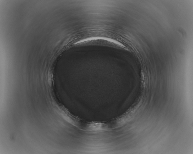X0000110940227200907101253