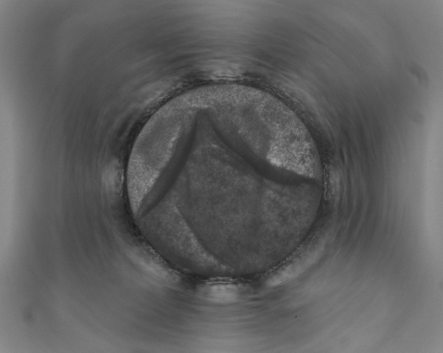 X0000110940228200907101253