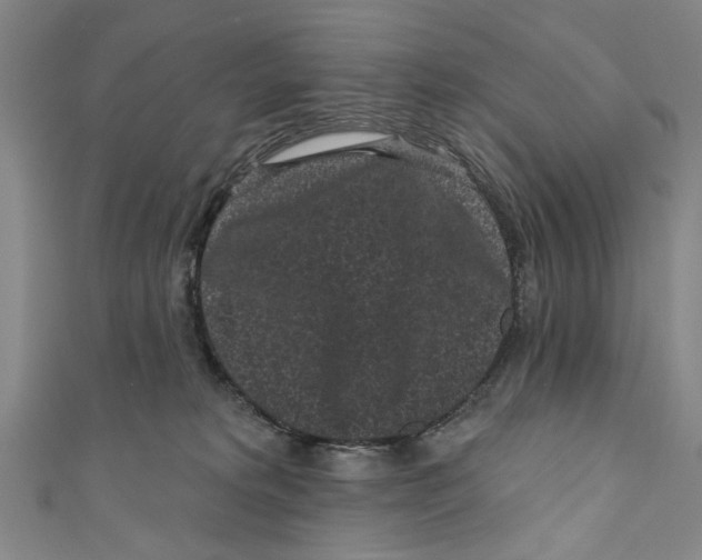 X0000110940229200907101253