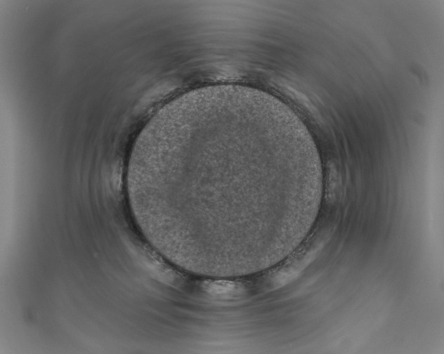 X0000110940230200907101253