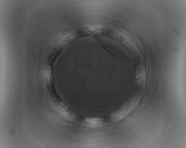 X0000110940231200907101253