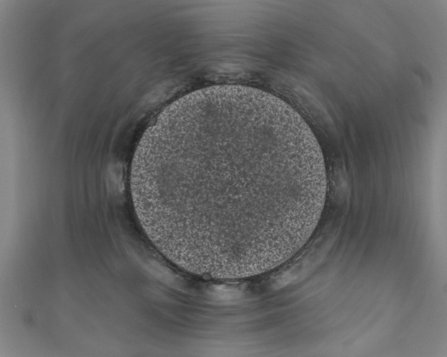 X0000110940232200907101253