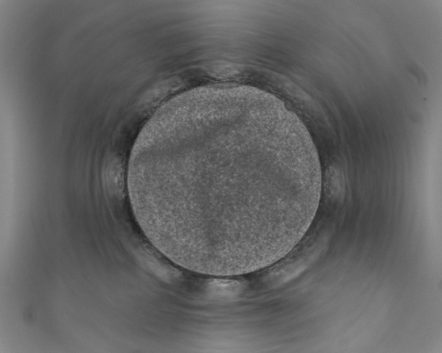 X0000110940234200907101253