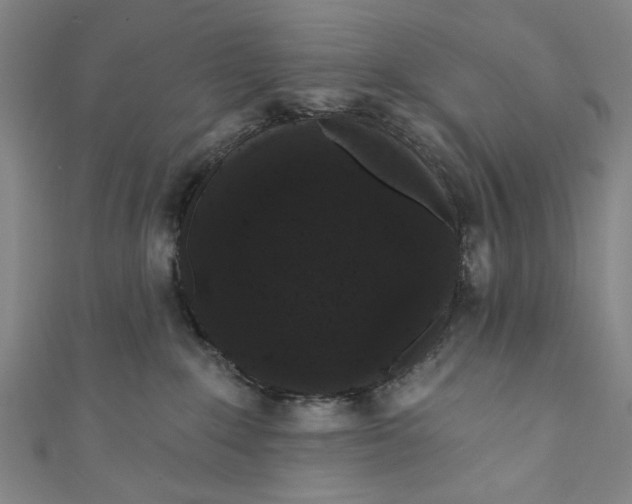 X0000110940235200907101253