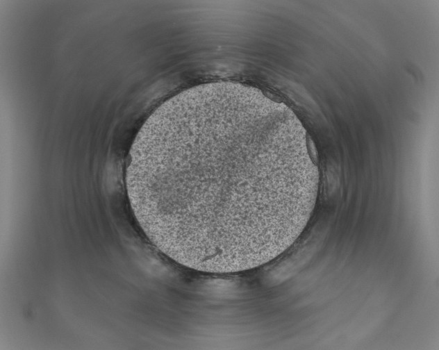 X0000110940236200907101253