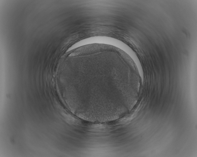 X0000110940237200907101253
