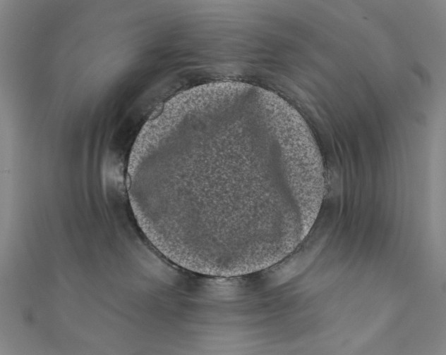 X0000110940238200907101253