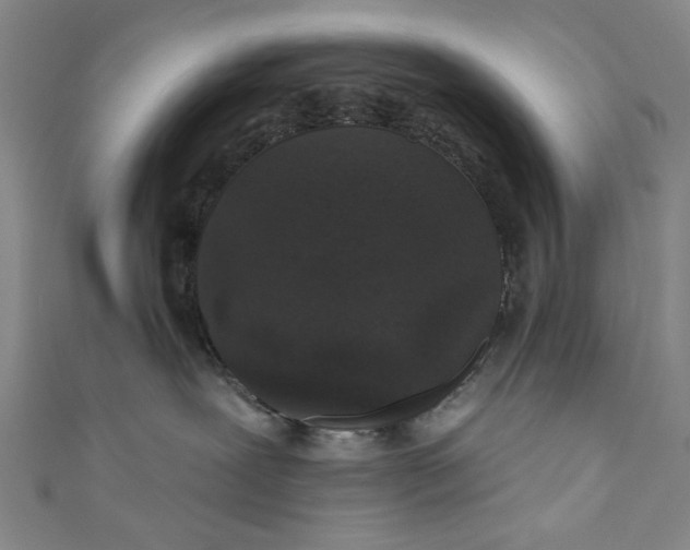 X0000110940239200907101253